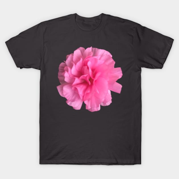 Pink Ranunculus Close-up Pic 2 T-Shirt by InalterataArt